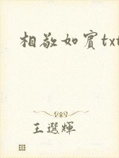 相敬如宾txt