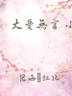 大爱无言 小说
