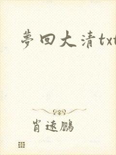 梦回大清txt