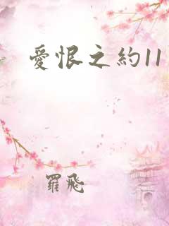 爱恨之约11