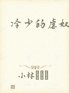 冷少的虐奴