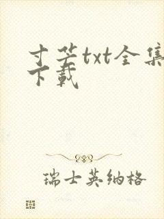 寸芒txt全集下载