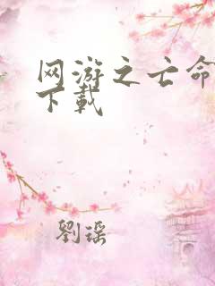 网游之亡命天涯下载