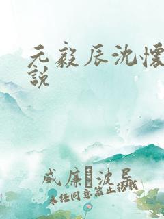 元毅辰沈怀妆小说