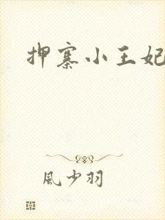 押寨小王妃