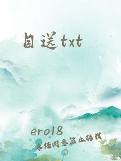 目送txt