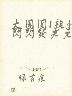 大团圆1亲情会闪闪发光免费