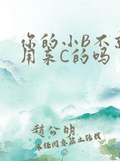你的小B不就是用来C的吗