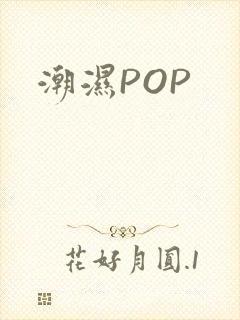 潮湿POP
