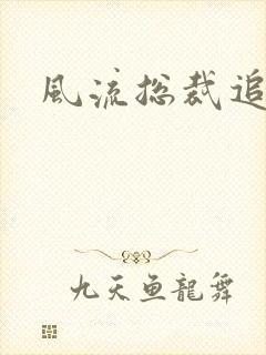 风流总裁追妻记