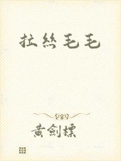 拉丝毛毛