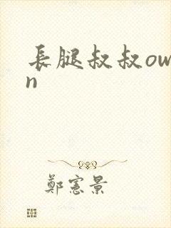 长腿叔叔owen
