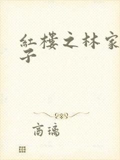 红楼之林家庶长子