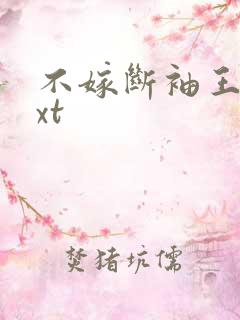 不嫁断袖王爷txt