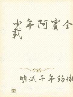 少年阿宾全集下载