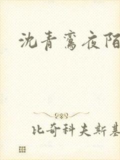 沈青鸾夜陌凌