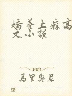 娇养上瘾高H爽文小说