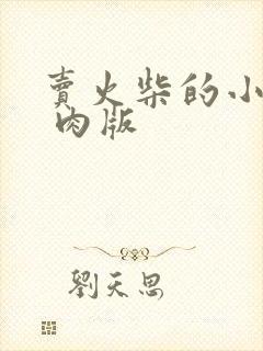 卖火柴的小男孩 肉版