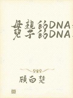 母亲的DNA和儿子的DNA是一样的吗