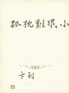 孤枕难眠小说
