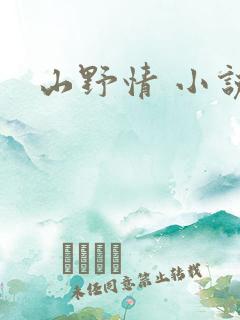 山野情 小说