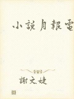 小说月报电子版