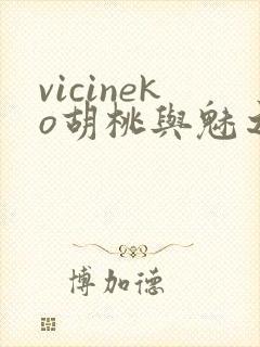 vicineko胡桃与魅之恶魔