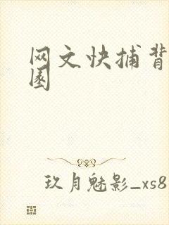 网文快捕背影家园