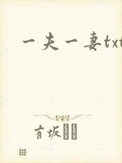 一夫一妻txt