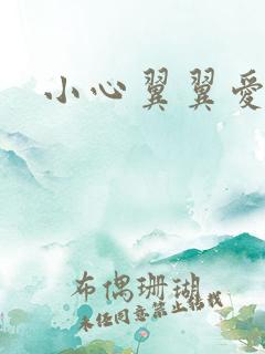 小心翼翼爱上你