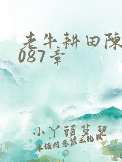 老牛耕田陈雪1087章