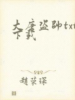 大唐盗帅txt下载