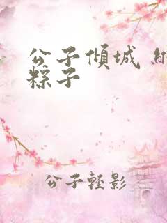 公子倾城 维和粽子