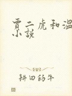 贾二虎和温如意小说