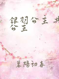 银羽公主 共享公主