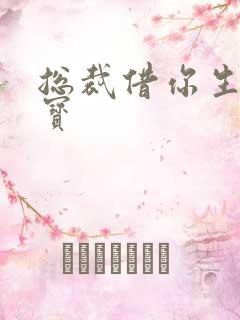 总裁借你生个宝宝