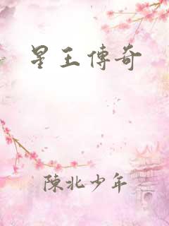 星王传奇