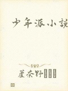 少年派小说