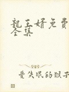 龙王婿免费完结全集