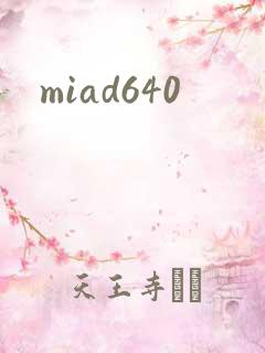 miad640