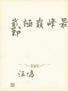 武极巅峰最新章节