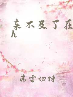 来不及了在车ch