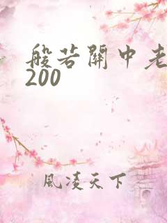 般若关中老人5200