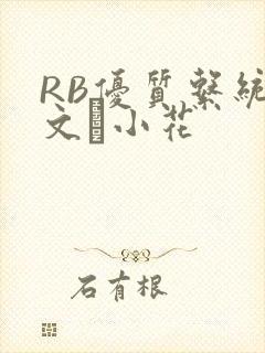 RB优质系统全文寀小花