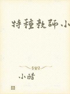 特种教师小说