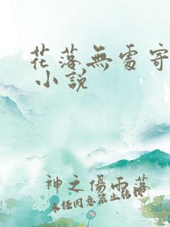 花落无处寄相思 小说