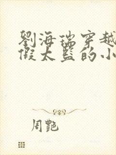 刘海瑞穿越后宫假太监的小说