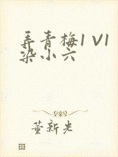 弄青梅1 V1染小六