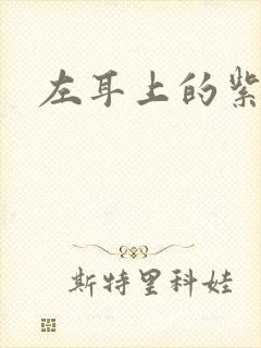 左耳上的紫水晶