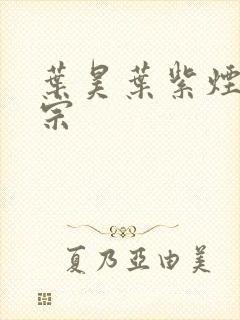 叶昊叶紫烟老祖宗